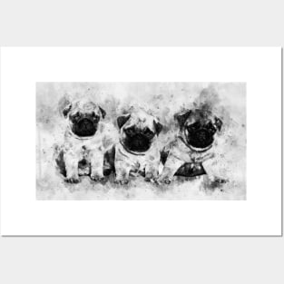 Pug Puppies. Dog Watercolor Portrait black and white 01 Posters and Art